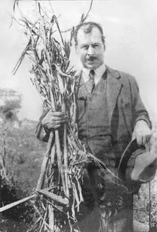 Вавилов Николай Иванович на поле пшеницы